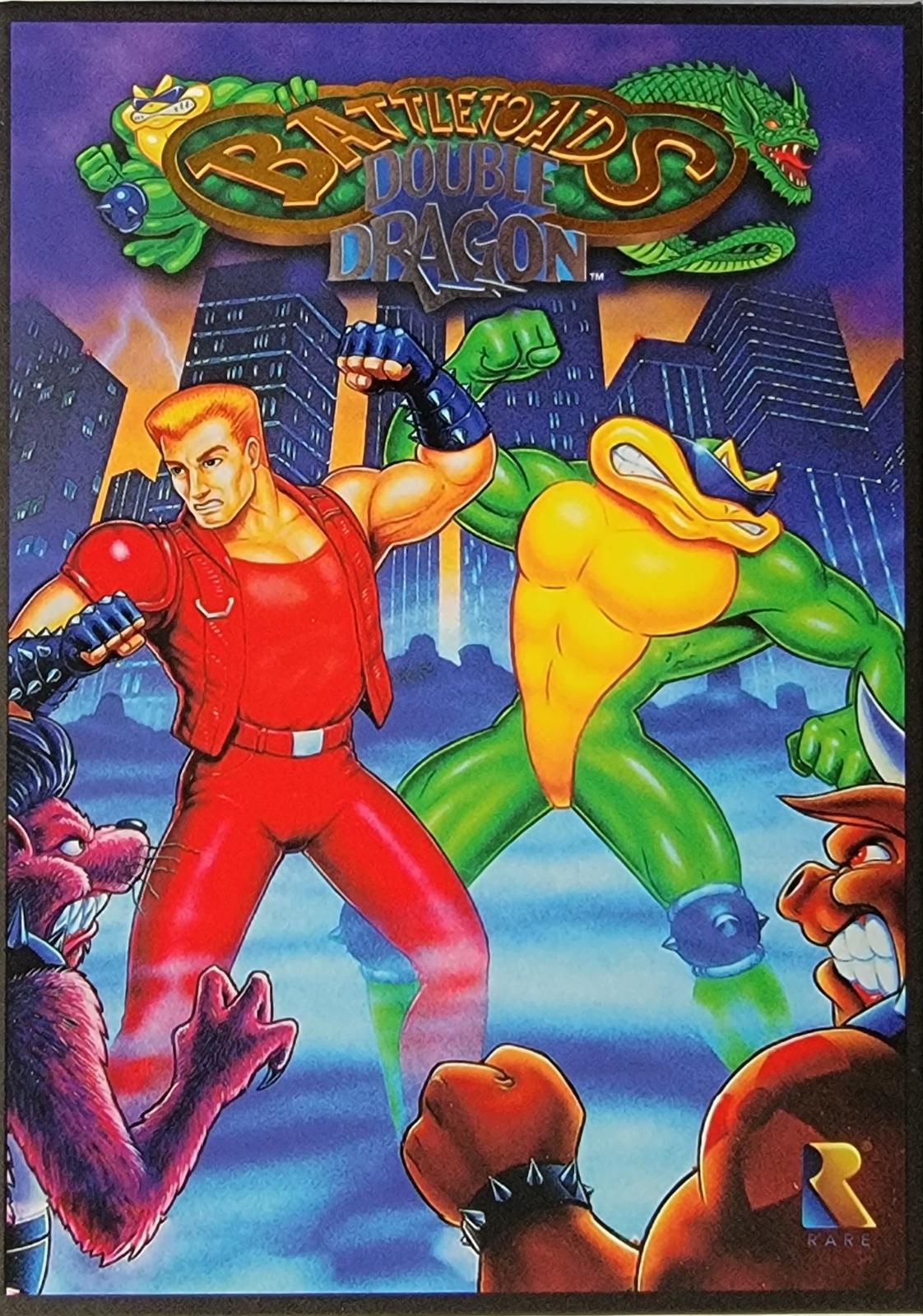 Nintendo Entertainment System
