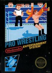 Nintendo Entertainment System