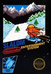 Nintendo Entertainment System