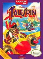 Nintendo Entertainment System