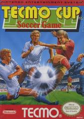 Nintendo Entertainment System