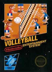 Nintendo Entertainment System