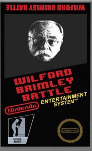 Nintendo Entertainment System