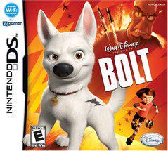 Nintendo DS