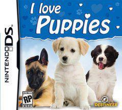 Nintendo DS