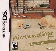 Nintendo DS