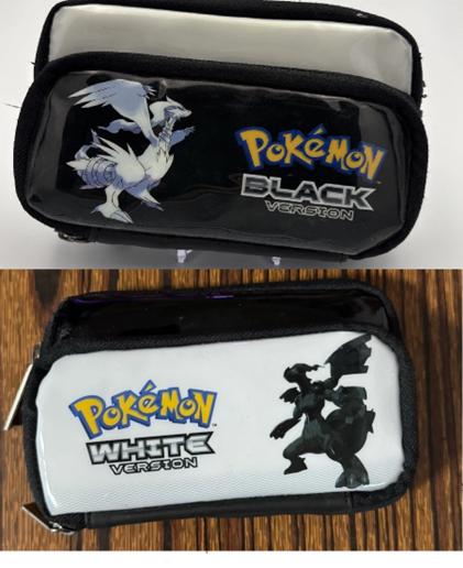 Nintendo DS
