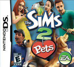 Nintendo DS