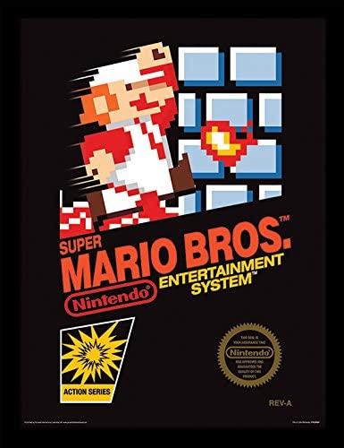 Nintendo Entertainment System