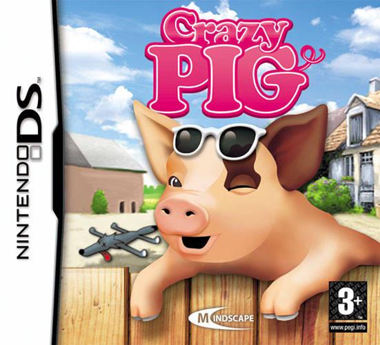 Nintendo DS