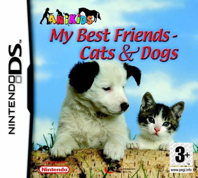 Nintendo DS