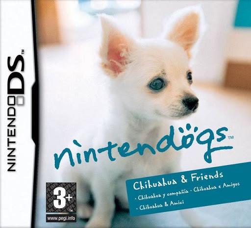 Nintendo DS