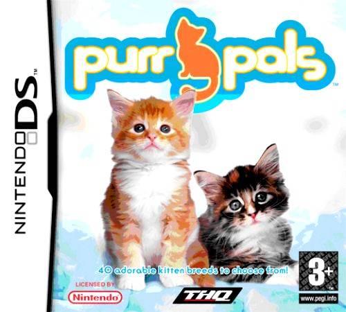 Nintendo DS