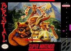 Super Nintendo Entertainment System